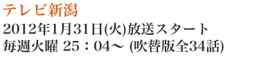 テレビ新潟　2012年1月31日(火)放送スタート　毎週火曜25：04?(吹替版全34話)