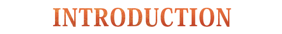 INTRO