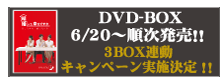 DVD-BOX