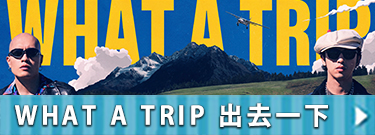What A Trip